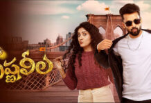 Krishna leela review